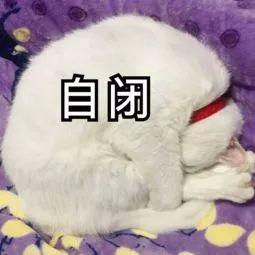 敢给导师发这样的邮件?你死定了~
