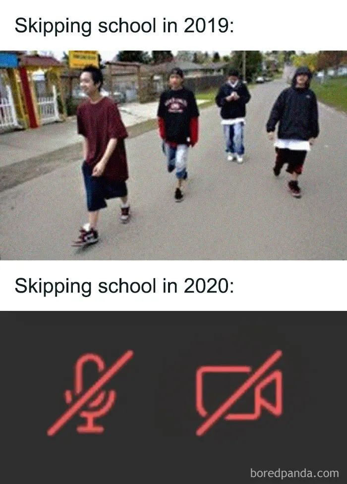 2020留学生的上半年总结