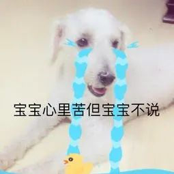 你竟然还不知道怎么转学转专业?送你最全攻略,拿走不谢!