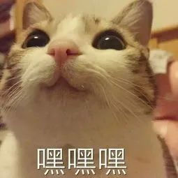 一夜之间,全国封锁!英国多校延迟开学!疫情下的学业政策有哪些变化?