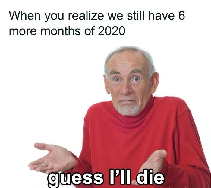 2020留学生的上半年总结