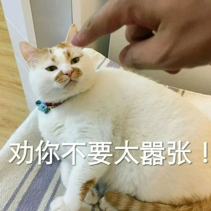 租房攻略(三)之在英国碰到租房纠纷怎么办?