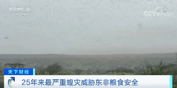 澳洲30万蝙蝠入侵!新型肺炎肆虐,美国流感10000人死亡,这是什么魔幻的2020年...