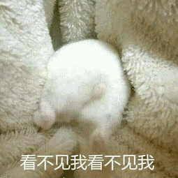 80分论文只能得70分的原因,可能就在这个被忽视的小点上~