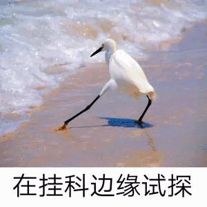 Essay提交检查清单!