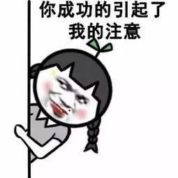 全历史,历史从未如此有趣