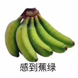 留学生:今天又是被“抑郁”的一天