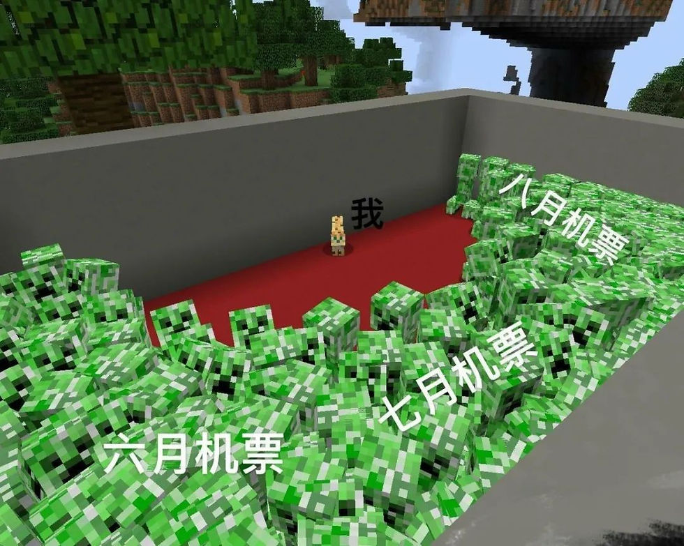 2020留学生的上半年总结