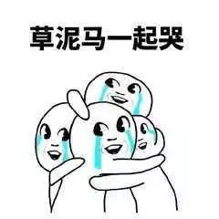 听说国内被毕业论文给逼哭了?身在国外的我默默不说话~