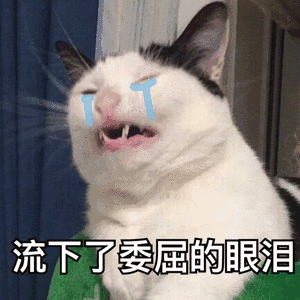 有消息称LSE以及KCL已经停课了!!