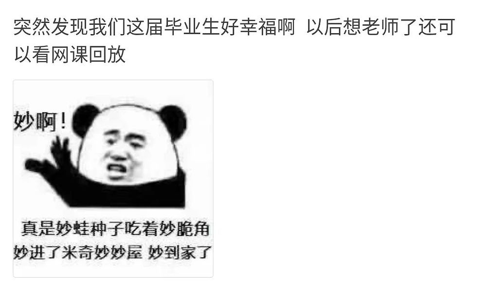 2020留学生的上半年总结
