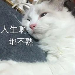 留学怕跟不上?这有一套官方的适应指南~
