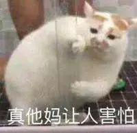 考试,懂“规矩”不?
