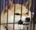 如何不带抄袭率地正确引用?10个举例分析为你讲透!