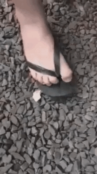 留学生间的长长长的鄙视链,diss环上,你总会中枪!