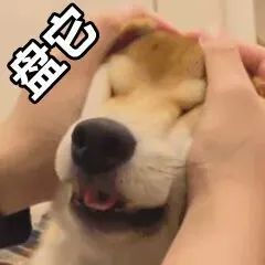 你竟然还不知道怎么转学转专业?送你最全攻略,拿走不谢!