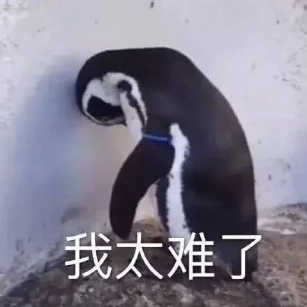 突发!11月7日起,回国需要登机前48小时提供双阴性证明!(附英国攻略)