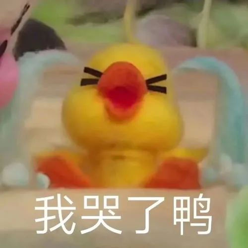 留学生最强Appeal申诉攻略,收藏以备不时之需!