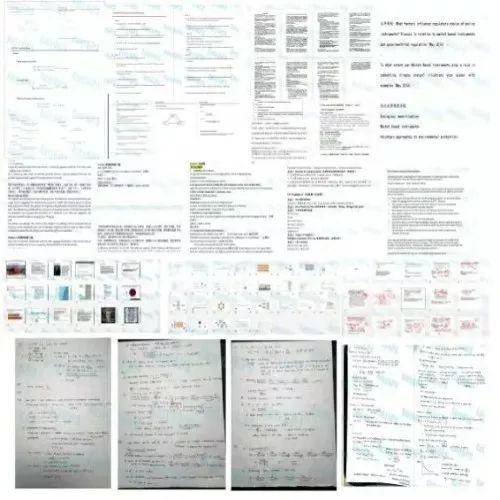 43所英国大学假期时间出炉!最高可能放假49天!