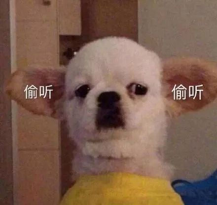 疫情下的留学生,回国前都忘了这件事...