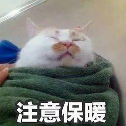 10月27日凌晨1点,英国与中国时差变为8小时,冬令时来啦~
