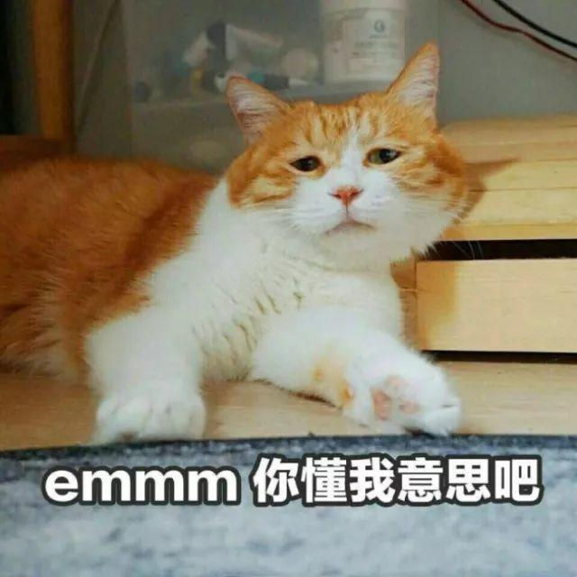 拒绝失联|海外留学安全须知