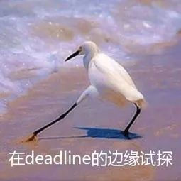三大Essay高分模板,直接套用,拿走不谢~