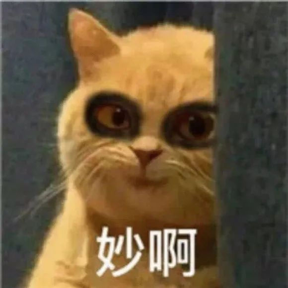 撰写留学申请材料时,人人都会犯的的四大误区