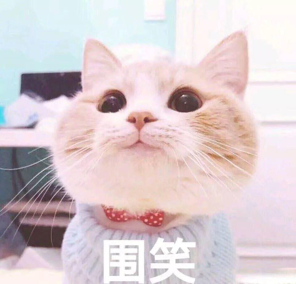 只需四步，学渣变学霸！