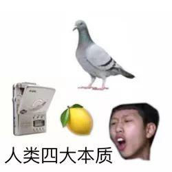 小组讨论battle指南!