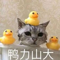 英国到底有多少学生只能获得三等学位?