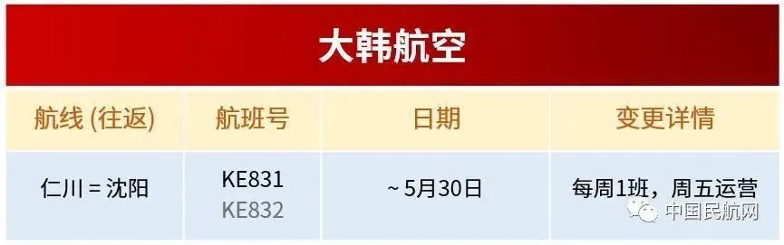 5月国内外航司国际航班计划全面汇总