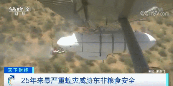 澳洲30万蝙蝠入侵!新型肺炎肆虐,美国流感10000人死亡,这是什么魔幻的2020年...