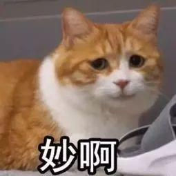 10月27日凌晨1点,英国与中国时差变为8小时,冬令时来啦~