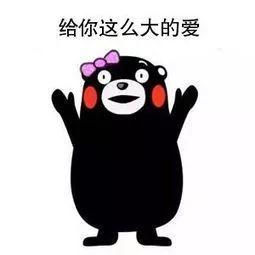 看懂了这篇Essay实例解析，80%的论文写作都难不倒你