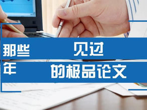 那些年见过的极品论文