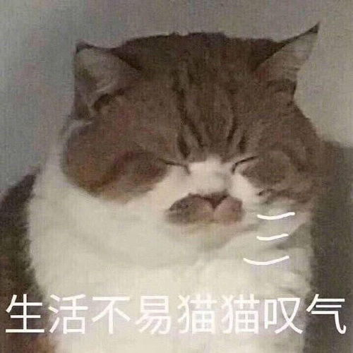 1~2个月的远程实习怎么找?(全面攻略)