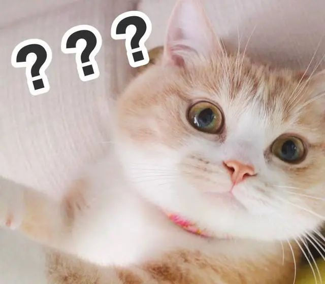 租房攻略(三)之在英国碰到租房纠纷怎么办?