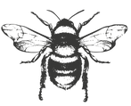Be Green logo (2)_edited.png