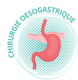 Site Liège bouton oeso vf.png