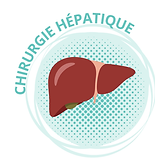 Site Liège bouton hépatique vf.png