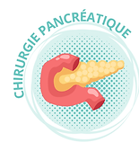 Site Liège bouton pancréa vf.png