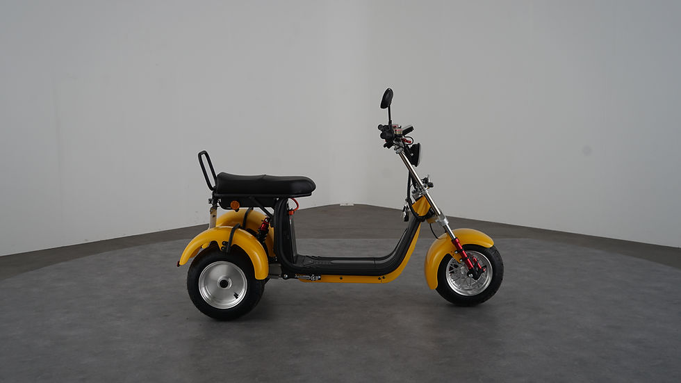 Miniaturbild: City Coco Trike CP7