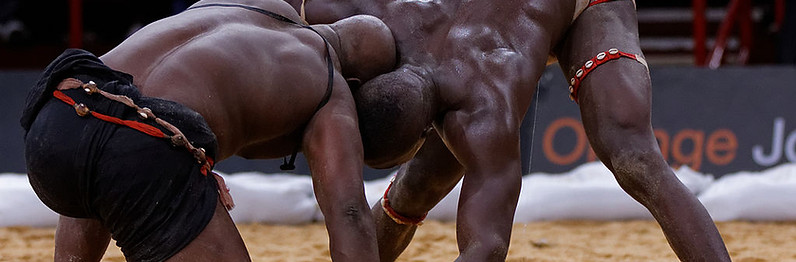 1024px-Lutte_sénégalaise_Bercy_2013_-_Ma