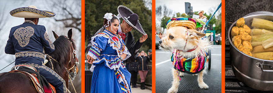 A man on horseback, dancers in vibrant traditional attire, a small dog in a colorful outfit, and tamales in a pot. Festive outdoor setting.