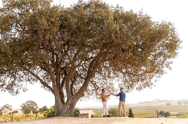 Two people standing under a large tree.