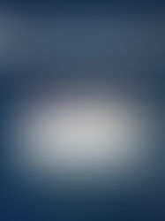 Top HostGator Plans for Small Business Websites in 2026