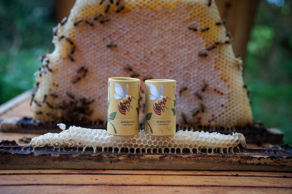 Sprouted Coconut Body Balm 2-Pack SALE!
