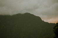 Cane Road x Vanne Home_3.jpg