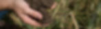 nat-resources-top-banner.jpg